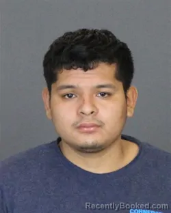 Recent Mugshot Image for URIEL MARIANO-ATZIN in St Clair County, Michigan