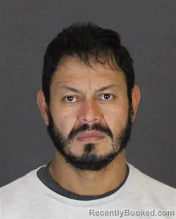 Recent Mugshot Image for ANGEL MALDONADO SANCHEZ in St Clair County, Michigan