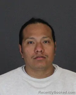 Recent Mugshot Image for IRAM MEJIA ESCOBAR in St Clair County, Michigan