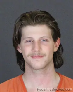Recent Mugshot Image for TRISTAN DANIEL WALSH in St Clair County, Michigan