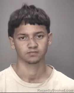 Recent Mugshot Image for ROBERT ELIJAH WILLIAMSON in Robeson County, North Carolina