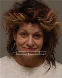 Recent Mugshot Image for SHARILYN MARIE NOTCH in Anoka County, Minnesota