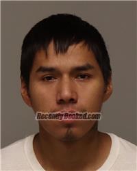 Recent Mugshot Image for ALVIN WAYNE JOHNSON in Anoka County, Minnesota