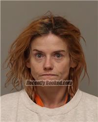 Recent Mugshot Image for RHONDA ASHLYN-PHYRE EVERMORE in Anoka County, Minnesota