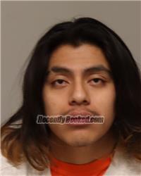 Recent Mugshot Image for RIO LUIS WEBBER in Anoka County, Minnesota
