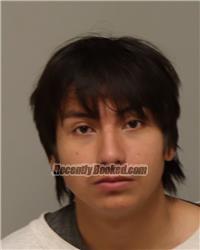 Recent Mugshot Image for ANTHONY JOSE CARDENAS in Anoka County, Minnesota
