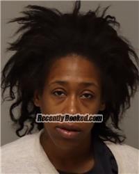 Recent Mugshot Image for ASHLEY ESTHER PATTERSON in Anoka County, Minnesota