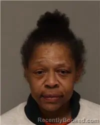 Recent Mugshot Image for SAMANTHA ANNICE KELLEY in Anoka County, Minnesota