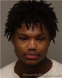 Recent Mugshot Image for JAMES MARVIN WHITE in Anoka County, Minnesota