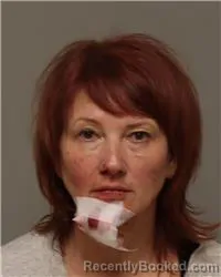 Recent Mugshot Image for SONJA RENEE ANDERSON in Anoka County, Minnesota