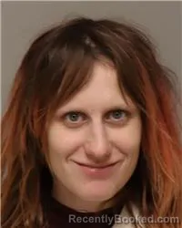 Recent Mugshot Image for AMBER ROSE SOLIN in Anoka County, Minnesota