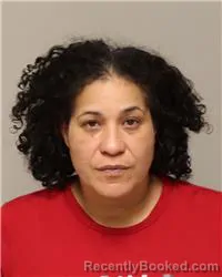 Recent Mugshot Image for NETTY CAROLINA FELIPE in Anoka County, Minnesota