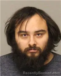 Recent Mugshot Image for MAVEN MICHAEL GADDIS in Anoka County, Minnesota