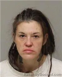 Recent Mugshot Image for GYNELL VALENE DISCHINGER in Anoka County, Minnesota