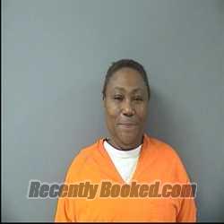 Recent Mugshot Image for DESANDRA RENEE WILLIAMS in Benton County, Minnesota