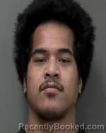 Recent Mugshot Image for J ONE SELIFIS in Chippewa County, Minnesota