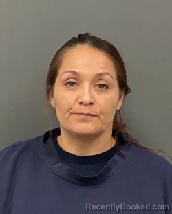 Recent Mugshot Image for TONI LYNN LORSUNG in Clay County, Minnesota