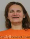 Recent Mugshot Image for JOCELYN FOX in Clearwater County, Minnesota