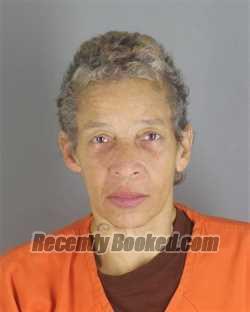 Recent Mugshot Image for TRACEY LYNN FREEMAN in Hennepin County, Minnesota