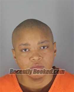 Recent Mugshot Image for ANITA EVA LEIGH in Hennepin County, Minnesota