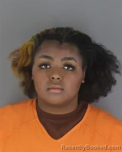 Recent Mugshot Image for TELAYZHA NA JAY BALLARD in Hennepin County, Minnesota