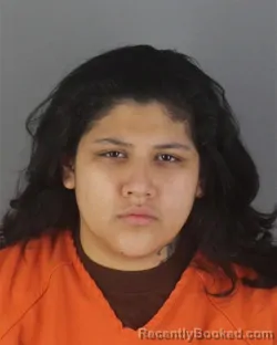 Recent Mugshot Image for NATALIE SAMANTHA RAMIREZ in Hennepin County, Minnesota