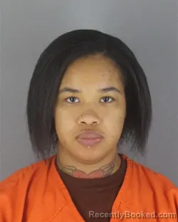 Recent Mugshot Image for ANITRA DONTRICE INGRAM in Hennepin County, Minnesota