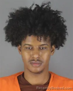 Recent Mugshot Image for ABDIMUDALIB MOHAMUD ODHOWA in Hennepin County, Minnesota