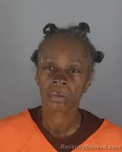Recent Mugshot Image for JACQULINE FAY SHELTON in Hennepin County, Minnesota
