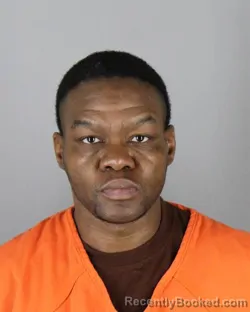 Recent Mugshot Image for LINDA ROCHELLE ROBINSON in Hennepin County, Minnesota