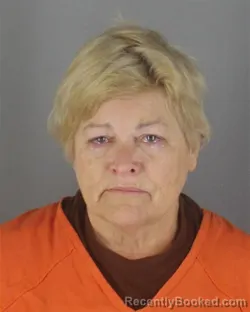 Recent Mugshot Image for JILL GILBERTSON PINK in Hennepin County, Minnesota