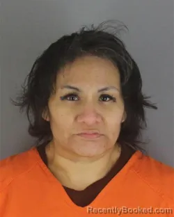 Recent Mugshot Image for DESTRY JEAN BUSH in Hennepin County, Minnesota