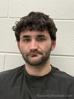 Recent Mugshot Image for RONALD DAVID GIBSON in Rutherford County, North Carolina