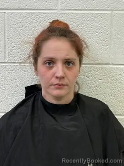 Recent Mugshot Image for DANYELLE ELISABETH LEDFORD in Rutherford County, North Carolina