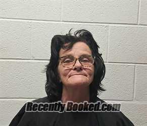 Recent Mugshot Image for LAURA MELISSA BIDDIX in Rutherford County, North Carolina