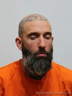 Recent Mugshot Image for MICHAEL LANE in Itasca County, Minnesota