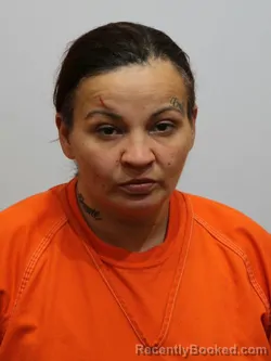 Recent Mugshot Image for RIKKI SKOG in Itasca County, Minnesota