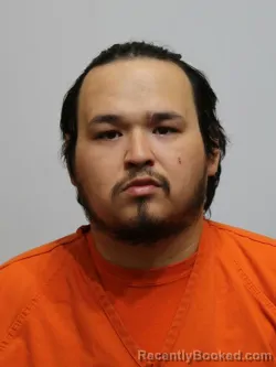 Recent Mugshot Image for ADAM WHITE in Itasca County, Minnesota