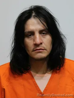 Recent Mugshot Image for RAYMOND SCHAAF in Itasca County, Minnesota