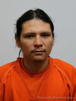 Recent Mugshot Image for RONALD LANHAM in Itasca County, Minnesota