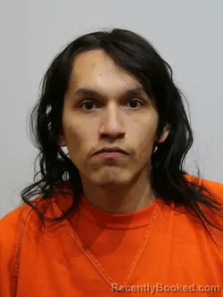 Recent Mugshot Image for TYRELL MITCHELL in Itasca County, Minnesota