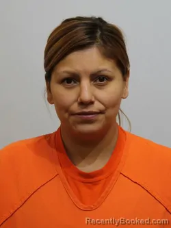 Recent Mugshot Image for LEAH WHITE in Itasca County, Minnesota