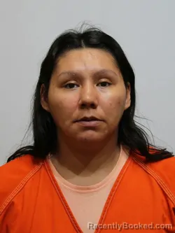 Recent Mugshot Image for DESIRAE LITTLEWOLF in Itasca County, Minnesota
