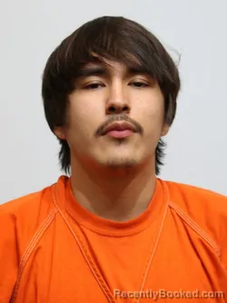 Recent Mugshot Image for CHARLES GOODMAN in Itasca County, Minnesota