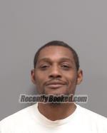 Recent Mugshot Image for Troy Anderson in Le Sueur County, Minnesota