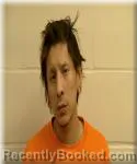 Recent Mugshot Image for Aaron Stevens in Pennington County, Minnesota
