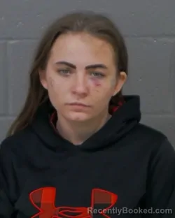 Recent Mugshot Image for JESSICA LEIGH DONAHUE in Stanly County, North Carolina