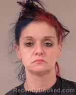Recent Mugshot Image for Nicole Renee Tellock in Scott County, Minnesota