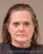 Recent Mugshot Image for Jean Marie Vanvalkenburg in Scott County, Minnesota