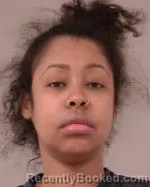 Recent Mugshot Image for Farhiya Ahmed Musse in Scott County, Minnesota